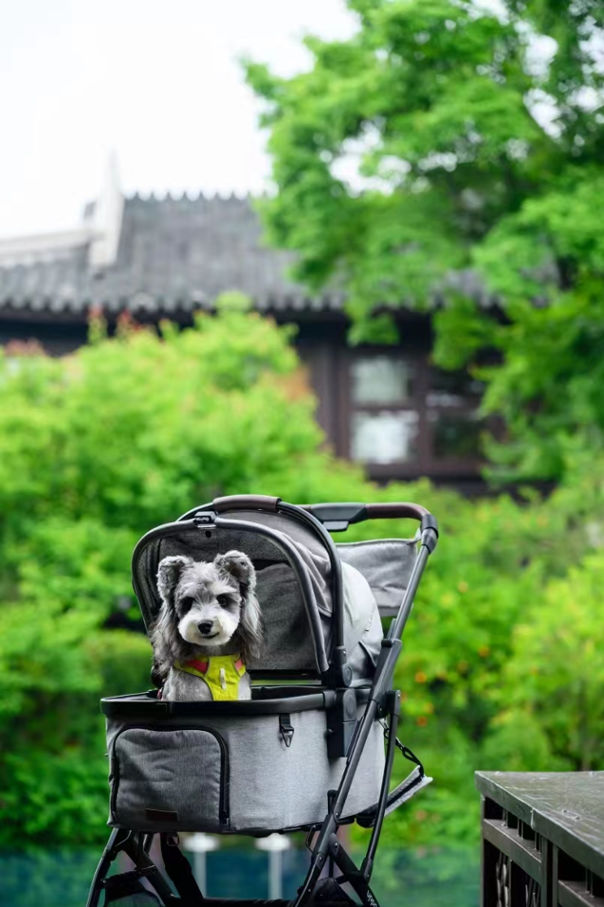 Hotels Newly Equipped Pet Stroller