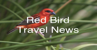 red bird travel news
